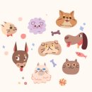 현대동물병원 애견용품 이미지