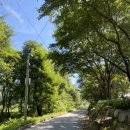 서쪽집 | 그린나무 서쪽집, 영월펜션 에어비엔비 내돈내산 후기