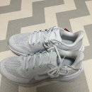 41 | 나이키 페가수스41 실착 러닝 후기 + 3km 러닝 루틴 변화