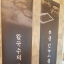 배가왕 송도직영점 이미지