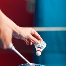 배드민턴 이미지