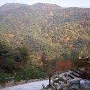 아카시아펜션 이미지