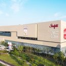 펫(PET)과 함께 이미지