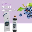 완주땅콩