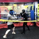 한철민복싱클럽 이미지