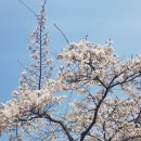 진영상점 | [강릉여행] 1박2일 여유로웠던 여행 (안목해변/교동/중앙시장맛집,카페,숙소정보)