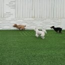 밍글몽글 이미지