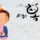 바디모어핏 이미지