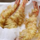 버블캣츠 이미지