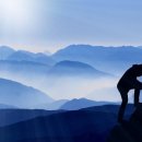 완도2호선 이미지