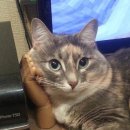 전남대후문 이미지