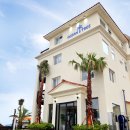 오션트리 이미지