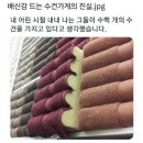 서울-언양-언양01 | [일상] 11월 일기 _ 곁을 내어주세요.