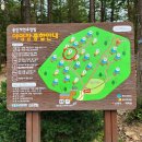 휴양림매점 이미지