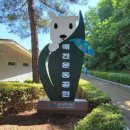 애견운동공원(하절기) 네이버블로그