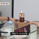 쿨한 강아지 Daum카페