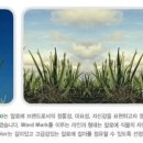 면목7동-010 이미지