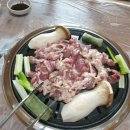 화산오리