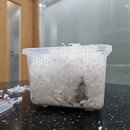 유앤동물병원 이미지