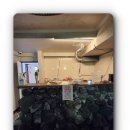 서귀포미친게스트하우스파티 이미지