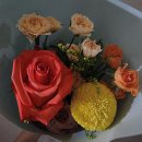 971008 | [LIFE DIARY_#02]술또녀모임ㅣ술꾼도시또라이셋ㅣin 윤술지네 집