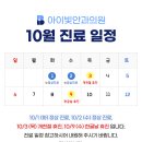 빛안과 네이버블로그