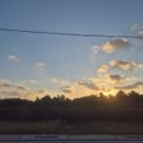 까사까미노 이미지