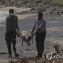 고래선박