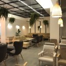 메러디스빅토리 이미지