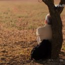 활란노인전문요양원 네이버블로그