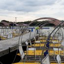 호수공원10로 이미지