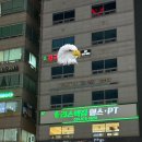 리스펙짐 행신점 이미지