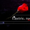 아마추어 밴드「Electric. rose」보컬, 드럼! 이미지