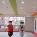 용인대꿈나무태권도체육관 이미지