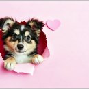 건강 셀프마사지 이미지