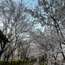 계양경기장-서운체육공원 이미지