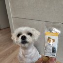 아임마인드 이미지