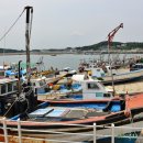 장고항바다 좌대낚시터 이미지