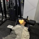 바디필짐 이미지