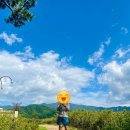 목수 이미지