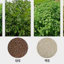 복이네 농장 이미지