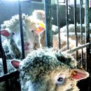 미래유전자 이미지