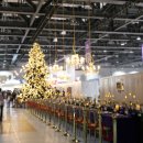 토요일오후 | 컬리 푸드페스타 2025 -컬리푸드페스타 2025 토요일 오후 방문후기