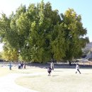 반계1리마을회관 이미지