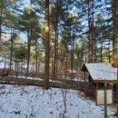 청태산자연휴양림 이미지