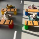 아산 반려견 교육센터 이미지