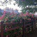 북가좌수약국 | 증산역 약국 좋아요 추천 List 6곳, 열린 약국, 토요일, 일요일, 공휴일, 심야