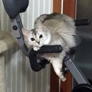 역삼119안전센터 이미지