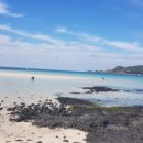 구억목장 이미지