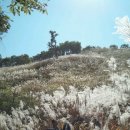 아빠부동산중개사무소 이미지